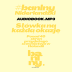 #banlny Niderlandzki: Słówka na każdą okazję AUDIOBOOK